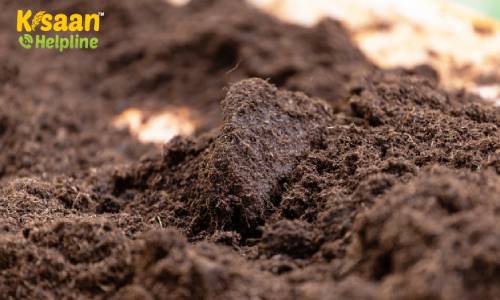 जानिए मिट्टी की उर्वरक क्षमता बढ़ाने के लिए आसान तकनीक 